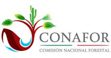 CONAFOR.jpg